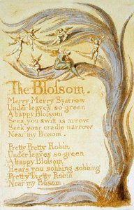 De bloesem, plaat 9 uit Songs of Innocence, 1789 door William Blake